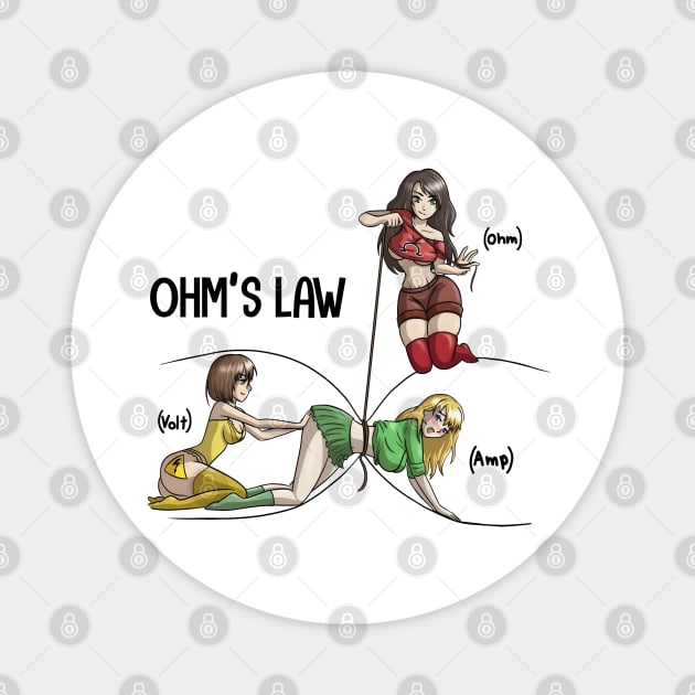 Ohms Law Electricity Magnet by fightingstore